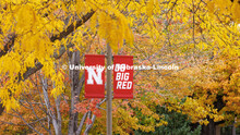 Fall on city campus. October 27, 2022. 