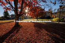 Fall on east campus. November 1, 2022. 