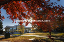 Fall on east campus. November 1, 2022. 