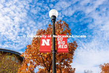 Nebraska N Banners are surrounded by orange fall leaves. Fall on City Campus. November 2, 2022. 