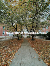 Fall on City Campus. November, 2022. Photos by Katie Black and Taylor DeMaro / University Communicat