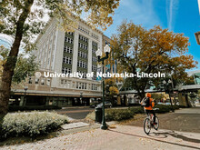 Fall on City Campus. November, 2022. Photos by Katie Black and Taylor DeMaro / University Communicat