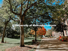 Fall on City Campus. November, 2022. Photos by Katie Black and Taylor DeMaro / University Communicat