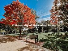 Fall on City Campus. November, 2022. Photos by Katie Black and Taylor DeMaro / University Communicat
