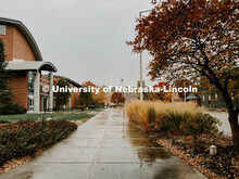 Fall on City Campus. November, 2022. Photos by Katie Black and Taylor DeMaro / University Communicat