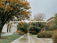 Fall on City Campus. November, 2022. Photos by Katie Black and Taylor DeMaro / University Communicat