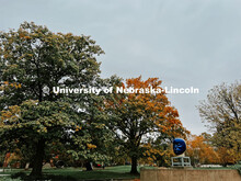 Jun Kaneko's Untitled sculpture on City Campus. Fall on City Campus. November, 2022. Photos by Katie