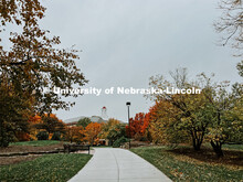 Fall on City Campus. November, 2022. Photos by Katie Black and Taylor DeMaro / University Communicat