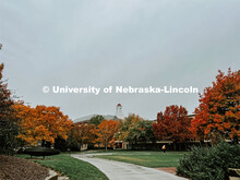 Fall on City Campus. November, 2022. Photos by Katie Black and Taylor DeMaro / University Communicat