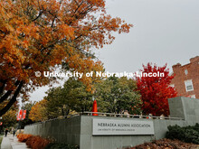 Fall on City Campus. November, 2022. Photos by Katie Black and Taylor DeMaro / University Communicat