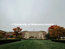 Fall on City Campus. November, 2022. Photos by Katie Black and Taylor DeMaro / University Communicat