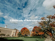 Fall on City Campus. November, 2022. Photos by Katie Black and Taylor DeMaro / University Communicat
