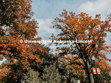 Fall on City Campus. November, 2022. Photos by Katie Black and Taylor DeMaro / University Communicat