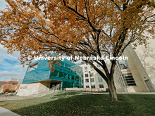 Fall on City Campus. November, 2022. Photos by Katie Black and Taylor DeMaro / University Communicat