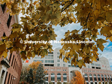 Fall on City Campus. November, 2022. Photos by Katie Black and Taylor DeMaro / University Communicat