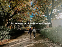 Fall on City Campus. November, 2022. Photos by Katie Black and Taylor DeMaro / University Communicat