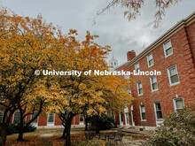 Fall on City Campus. November, 2022. Photos by Katie Black and Taylor DeMaro / University Communicat
