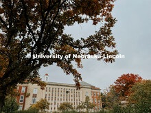 Fall on City Campus. November, 2022. Photos by Katie Black and Taylor DeMaro / University Communicat