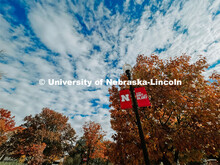 Fall on City Campus. November, 2022. Photos by Katie Black and Taylor DeMaro / University Communicat