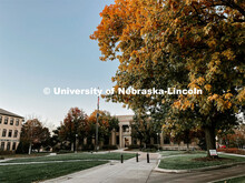 Fall on East Campus. November 10, 2022. 