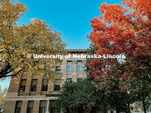 Fall on East Campus. November 10, 2022. 