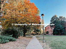 Fall on East Campus. November 10, 2022. 