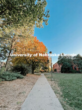 Fall on East Campus. November 10, 2022. 