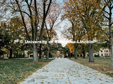 Fall on East Campus. November 10, 2022. 