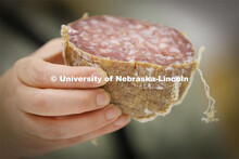 Mold growing on a chunk of meat. Heather Hallen-Adams teaches FDST 492 - Special Topics in Food Scie