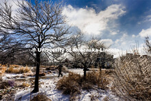 Blayne Sharpe, Director of International Recruitment, walks toward Love Library. Ice and snow cover 