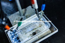 Mona Bavarian, Assistant Professor of Chemical and Biomolecular Engineering at Nebraska, has receive