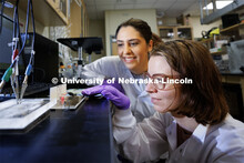 Mona Bavarian, Assistant Professor in Chemical & Biomolecular Engineering, is a CAREER winner. She a