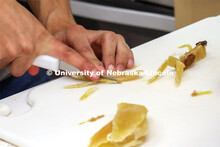 A cricket centerpiece is prepared as part of the team's entry. Groups prepared baked goods using flo