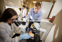 Matthew Wiebe supervises post-doc Allie Krueger working on the microscope as research techs Ethan Ra