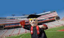 Herbie poses on the field in Memorial Stadium in his graduation regalia. New Herbie photoshoot. Apri