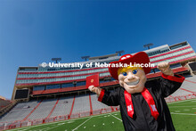 Herbie poses on the field in Memorial Stadium in his graduation regalia. New Herbie photoshoot. Apri