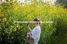 Katie Black takes pictures of sunflowers at Prairie Pines. About Lincoln at Prairie Pines. August 29