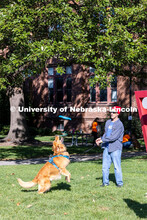 DogFest is a free event held on city campus that is organized by the university’s Canine Cognition