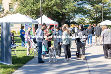 DogFest is a free event held on city campus that is organized by the university’s Canine Cognition