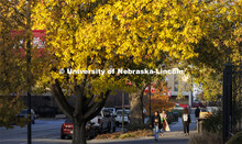 Fall on city campus. November 7, 2023. 
