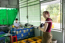 Milana Doné photographs Le Phuc, 22, a production manager at Abavina, an organic farming operation 