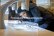 A museum guest inspects a specimen. Morrill Hall and state museum for About Lincoln website. January