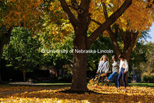 Riley Bruno kicks up some leaves as she and Emily Hodgin (left), and Natalie Altenhoff walk through 
