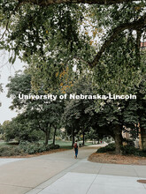 Summer photos on City Campus. July 1, 2024. Taylor DeMaro / University Communication.