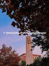 Fall photos on City Campus. July 1, 2024. Taylor DeMaro / University Communication.
