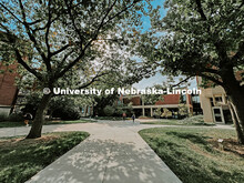 Students crossing campus by Love Library. Fall photos on City Campus. July 1, 2024. Taylor DeMaro / 