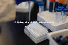Test tubes and pipettes at Nebraska Center for Virology lab. March 5, 2025. 