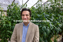 Patricio Grassini, Sunkist Distinguished Professor of Agronomy and Horticulture, is co-author of a p