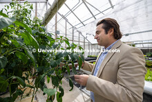 Patricio Grassini, Sunkist Distinguished Professor of Agronomy and Horticulture, is co-author of a p