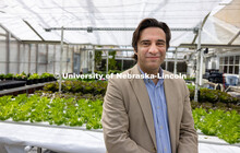 Patricio Grassini, Sunkist Distinguished Professor of Agronomy and Horticulture, is co-author of a p